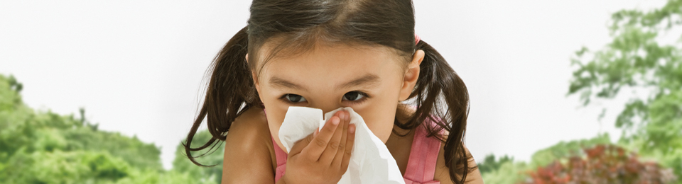 a little girl sneezing in the spring air