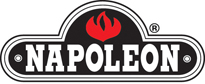 napoleon gas fireplace options 